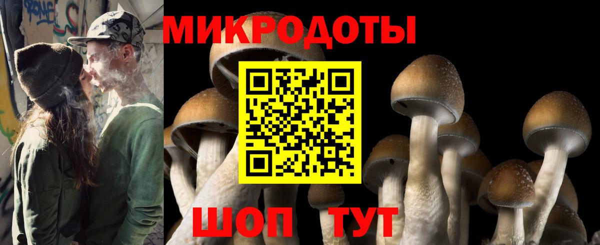 Галлюциногенные грибы мухоморы Углич