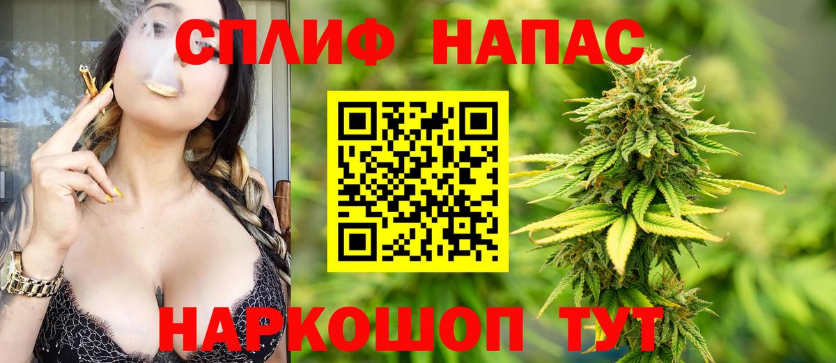 Конопля AK-47  Бошки Шишки Ganja  Вход с VPN  Углич  Конопля VHQ  Канабис планчик 